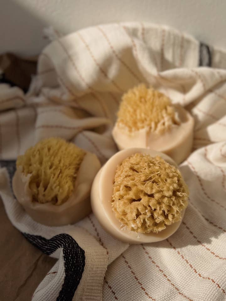 Savon Éponge de Mer au Lait de Coco et Santal pour la vente par The Ash House Soap Studio