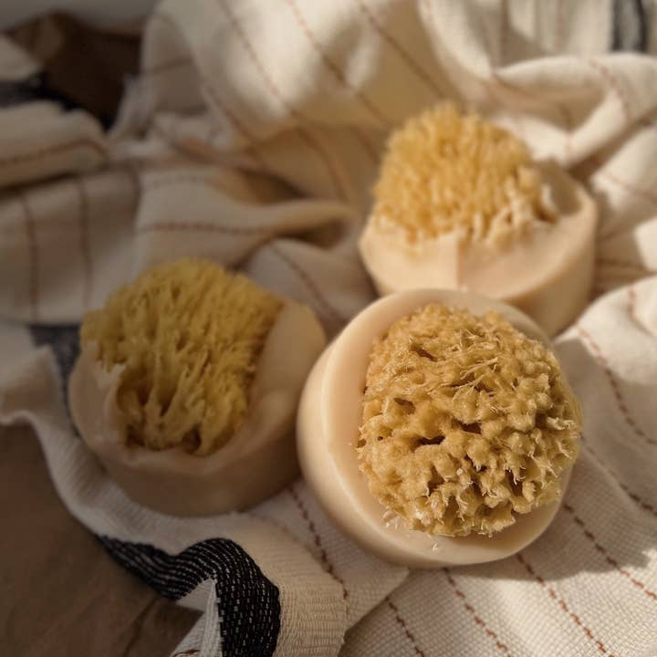 The Ash House Soap Studio - Wholesale Bar Soap - Santal Beach Coconut Milk Sea Sponge Soap0