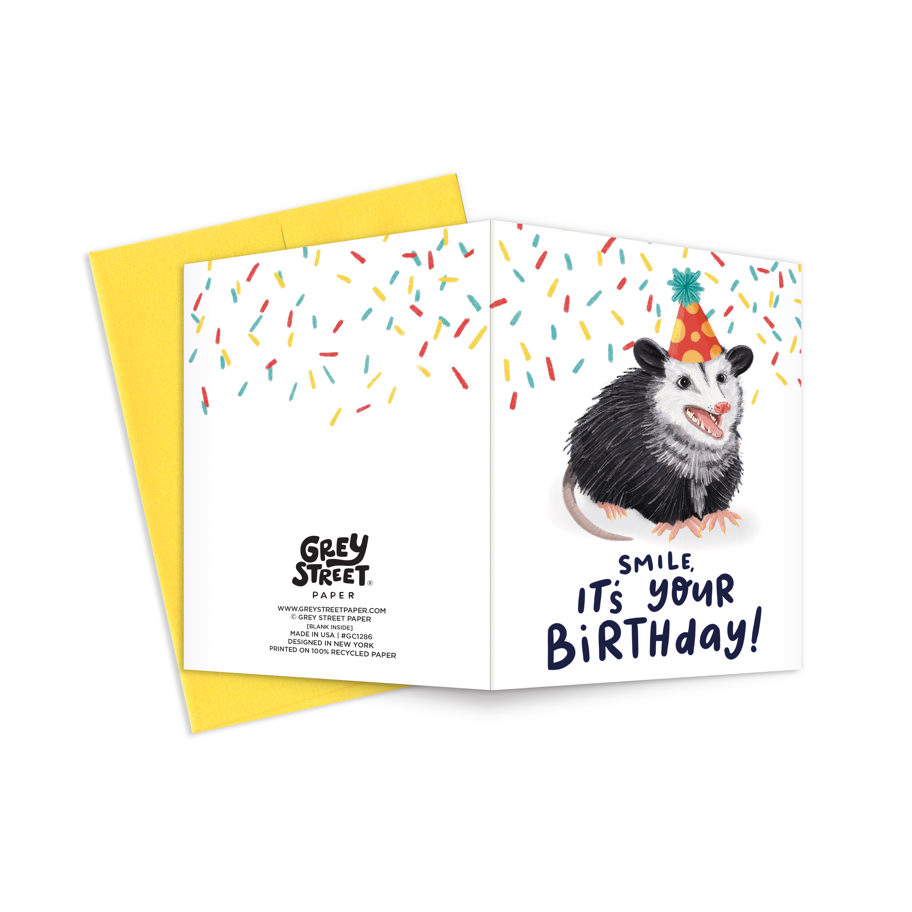Grey Street Paper - Venta al por mayor Tarjetas de cumpleaños - ¡Sonríe! Tarjeta de felicitación de cumpleaños con texto en inglés «It's Your Birthday Opossum»2