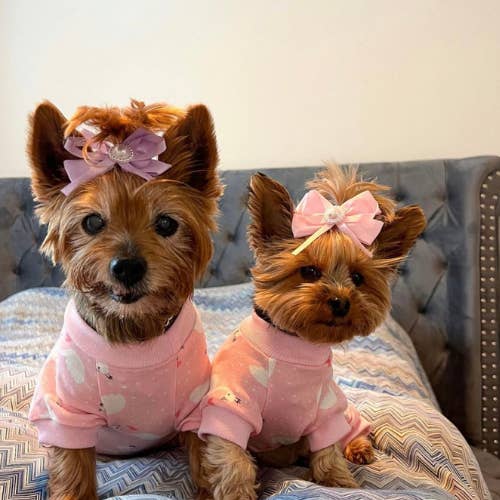 Luxe Spring Bows for wholesale by Bark Fifth Avenue