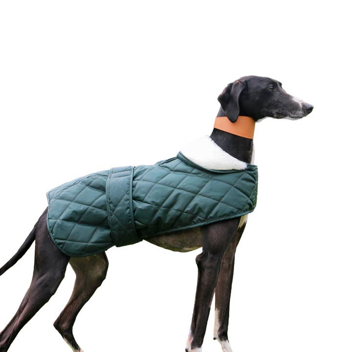Quilted Hound Coat for wholesale by Ancol Pet Products Ltd