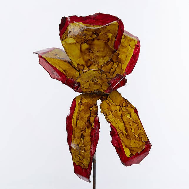 Gouden rode orchidee voor wholesale door Bobbianne's Flowers