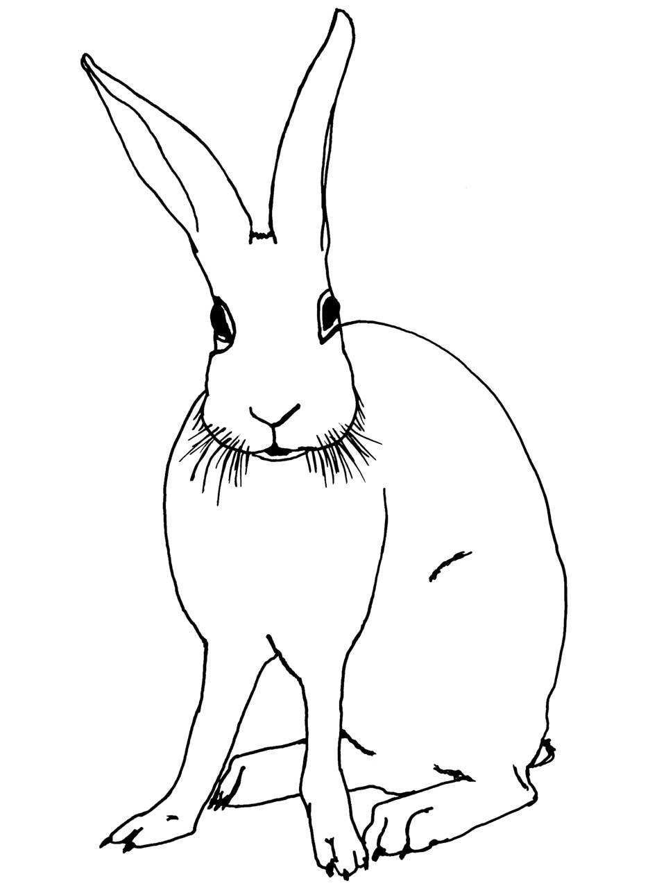 Gaspar Gou - Wholesale Screen Printed T-Shirt - Men's - Funny Bunny Charlie Tee8