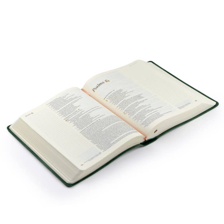 Hosanna Revival - Wholesale Book - Adult - NLT Notetaking Bible : Summerside Theme