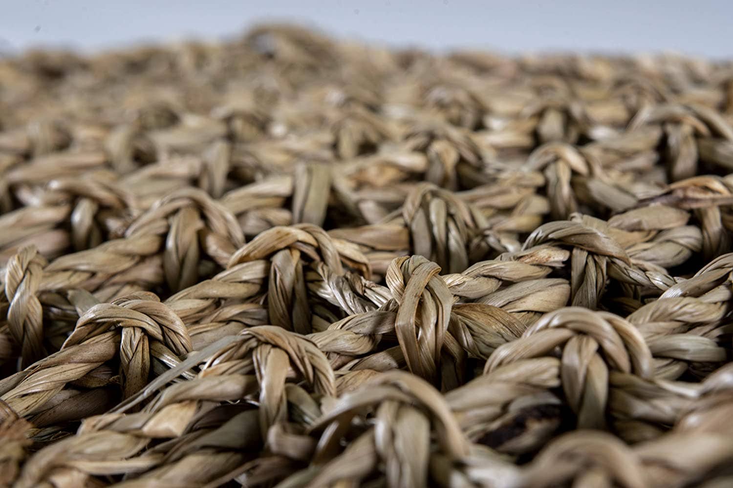 Penn-Plax - Wholesale Terrarium - Reptology Lizard Lounger – Extra Large2