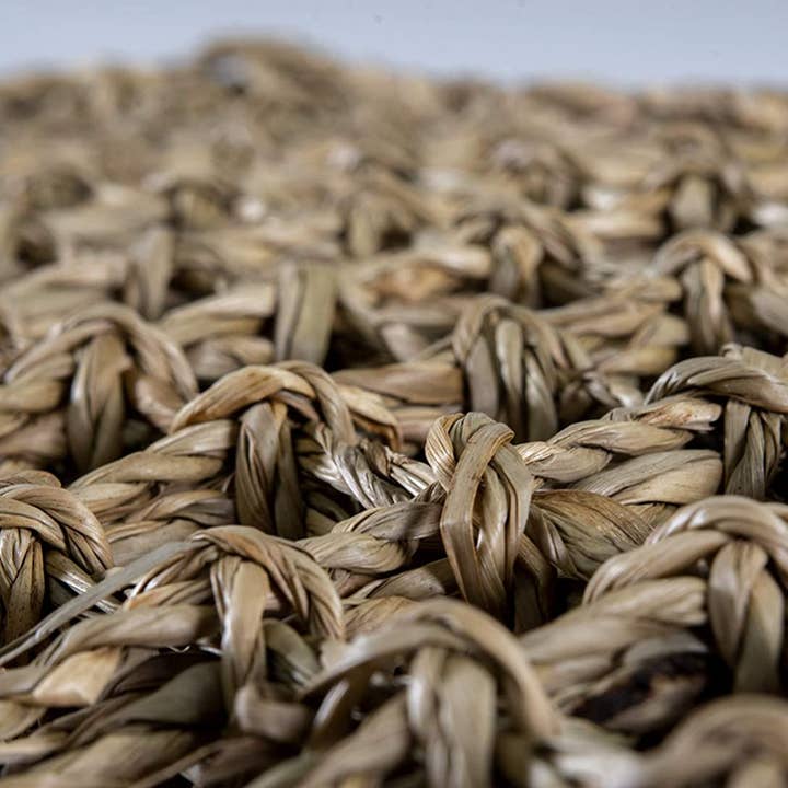 Penn-Plax - Wholesale Terrarium - Reptology Lizard Lounger – Extra Large2