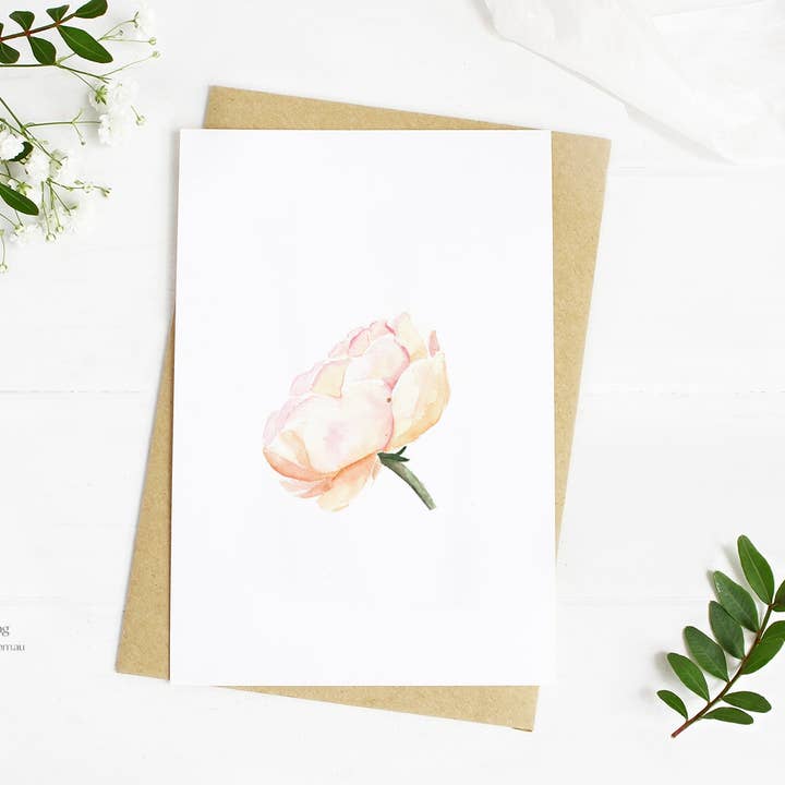 Rosa delicada por atacado de Well Drawn