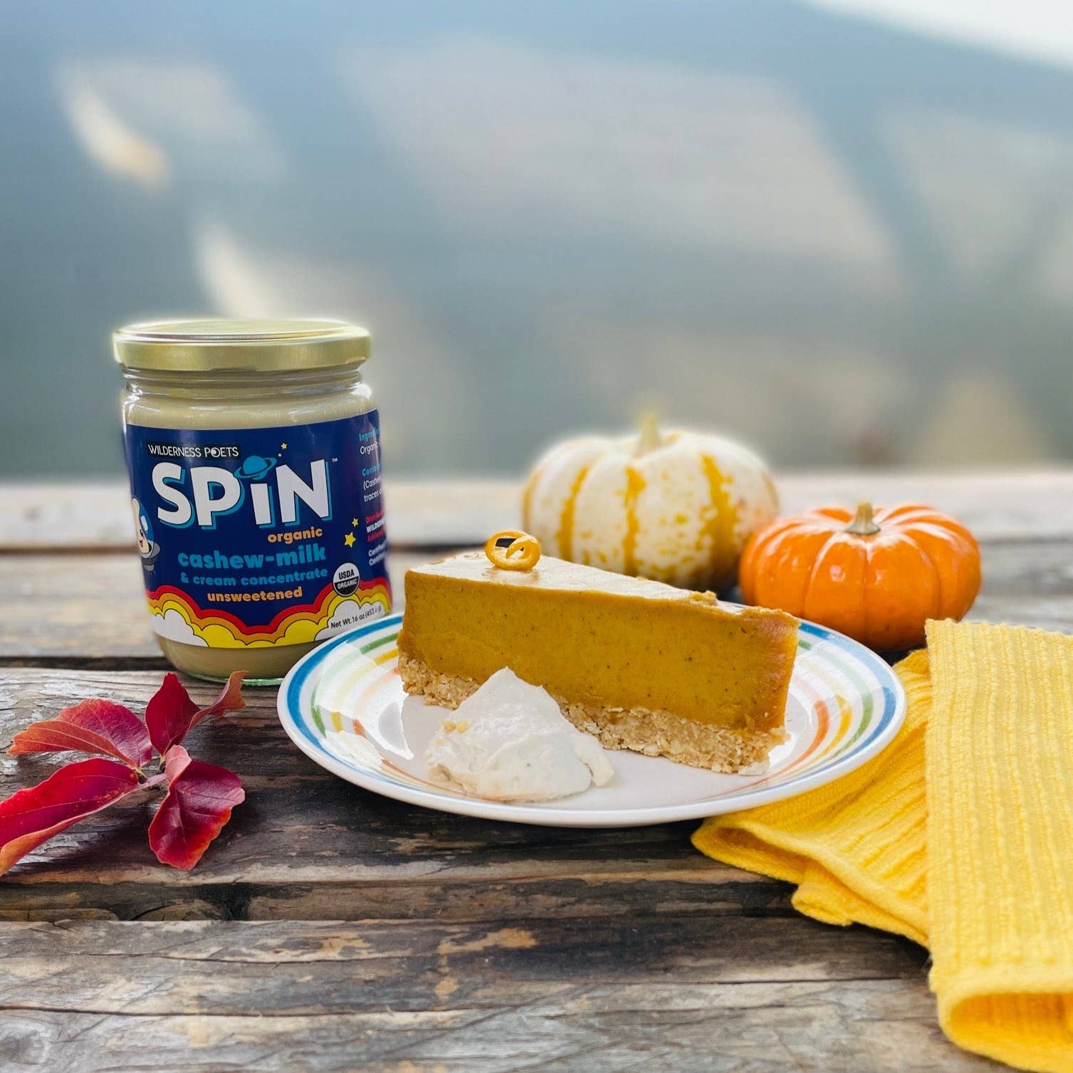 Wilderness Poets - Vente Boisson végétale - SpIN : crème de noix de cajou et concentré de lait biologiques7