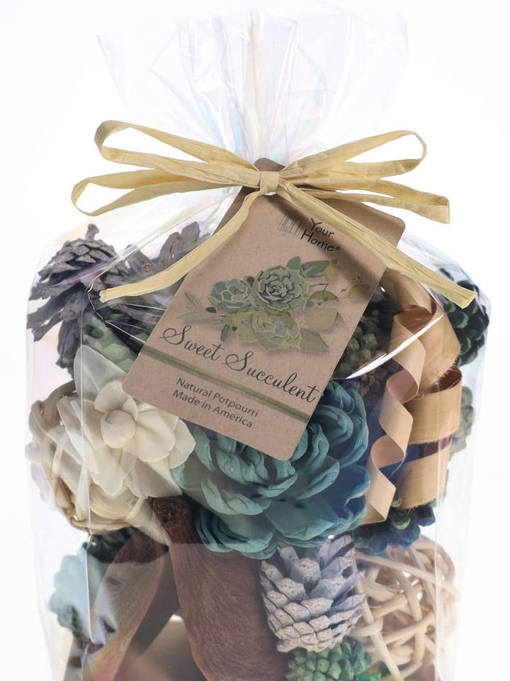 Sweet Succulent 2qt Bag spring/summer styles for wholesale by Your Home