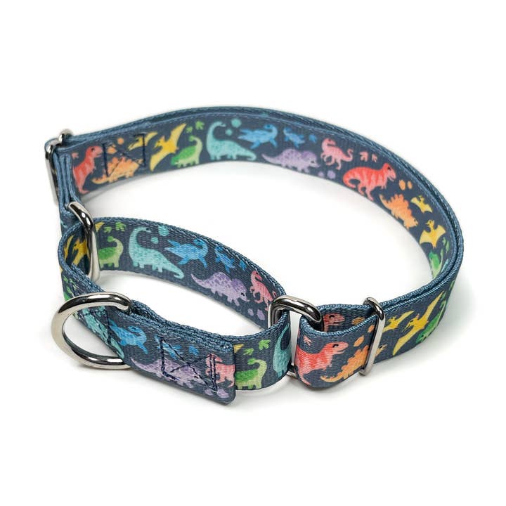 Rainbow Dinosaurs Martingale Dog Collar for wholesale by Persnickety Pets