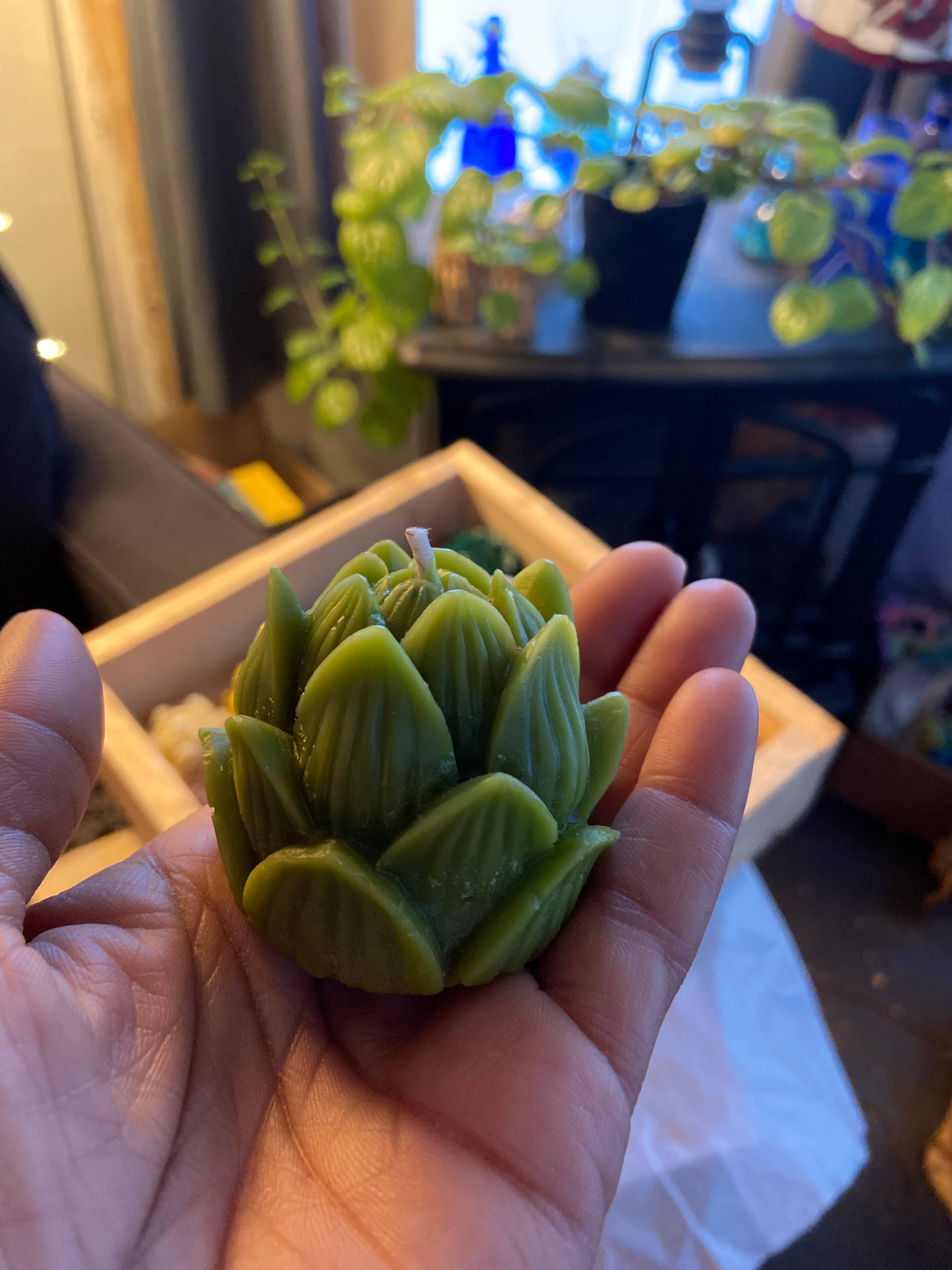 Live Light Beeswax Candles - Wholesale Novelty Candle - Lotus Meditation Candle Box Set3