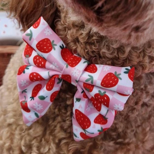 Beere Gut Erdbeere Hund Matrosenschleife für den Großhandel von Syd&Co