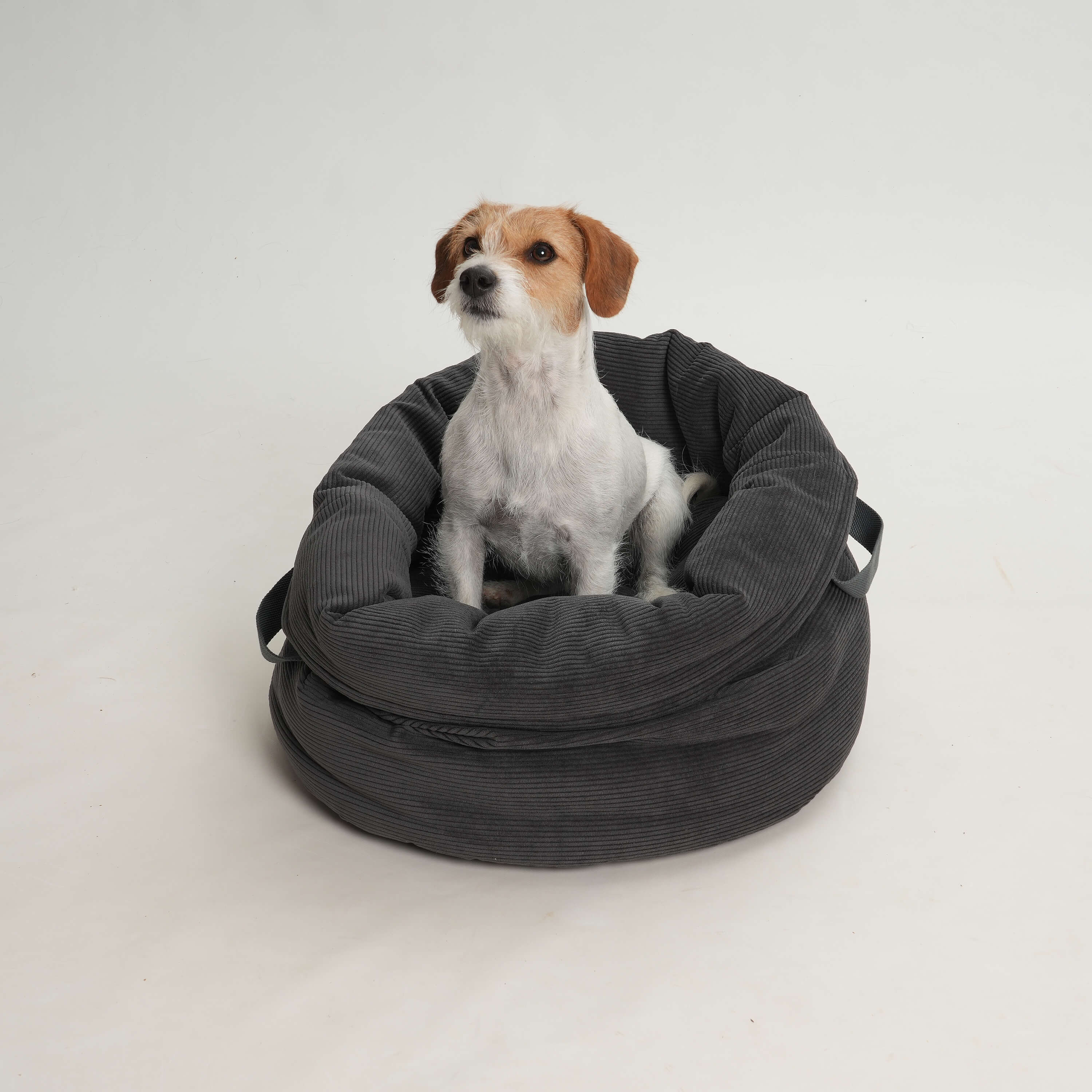 DOGS in the CITY® - Vente Caisse de transport – chat et chien - Panier pour chien Shopper Little Basket Chelsea Cord Graphite0