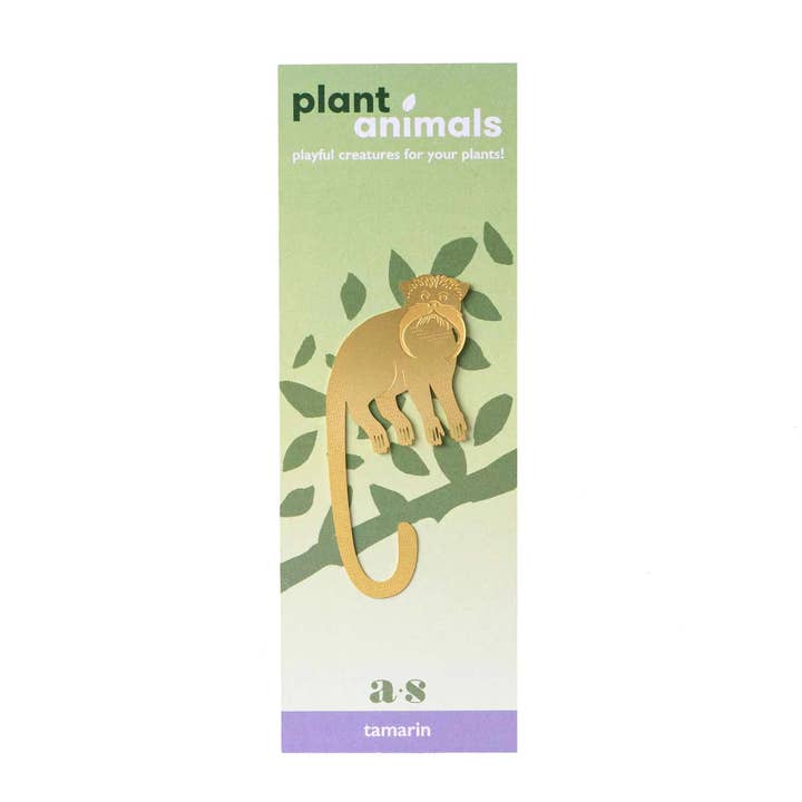 plantyintroverts - Wholesale - PLANT ANIMAL – Saguinus | Another Studio