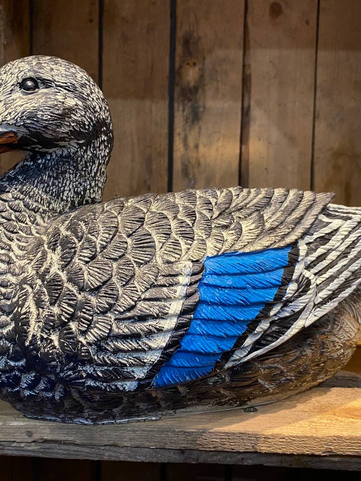 Weibliche Stockente für den Großhandel von ABitQuackers