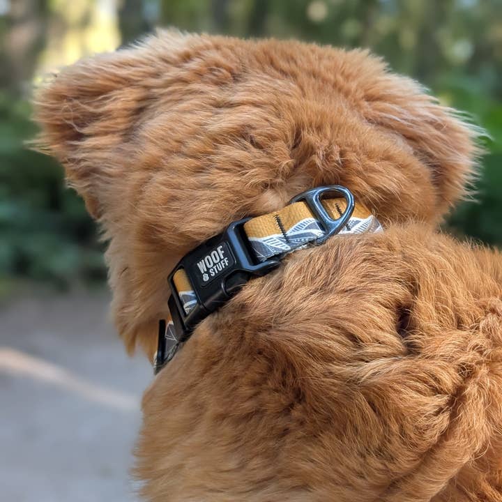 Woof & Stuff - Wholesale Pet collar – Dog - Mountain Mornings Collar1