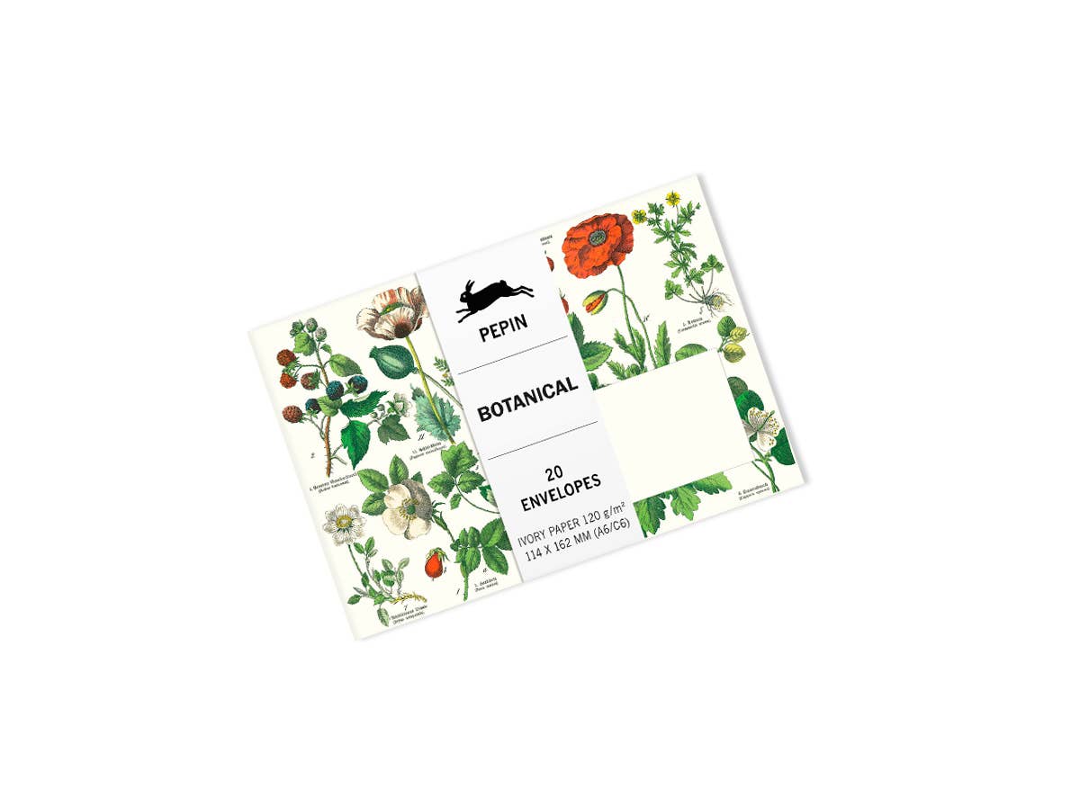 Pepin Press – wholesale Envelopes – Botanical C6-Envelopes