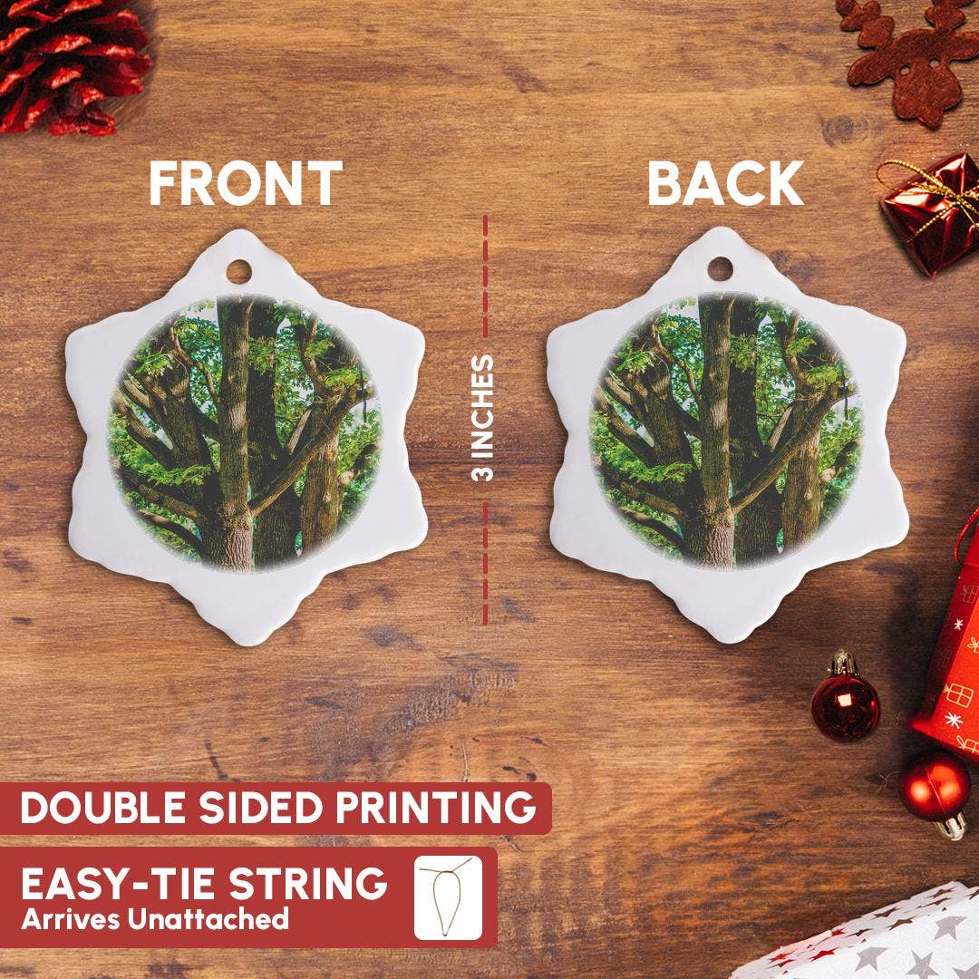 3dRose - Wholesale Ornament - 3dRose, Old oak trees in summer, Ornament2