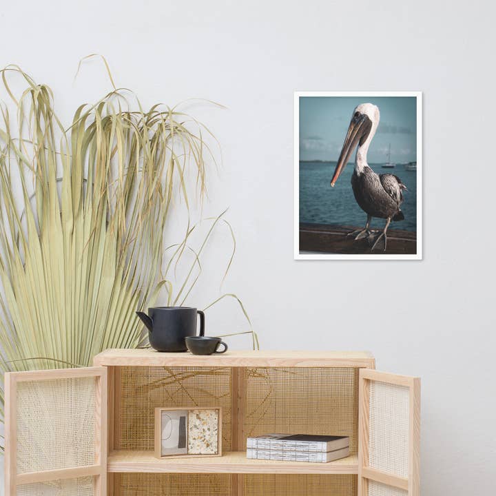 Pipa Wall Art & Home Decor - Wholesale Art print - Bob The Pelican 2 Colorized Wildlife Photo Framed Wall Art18