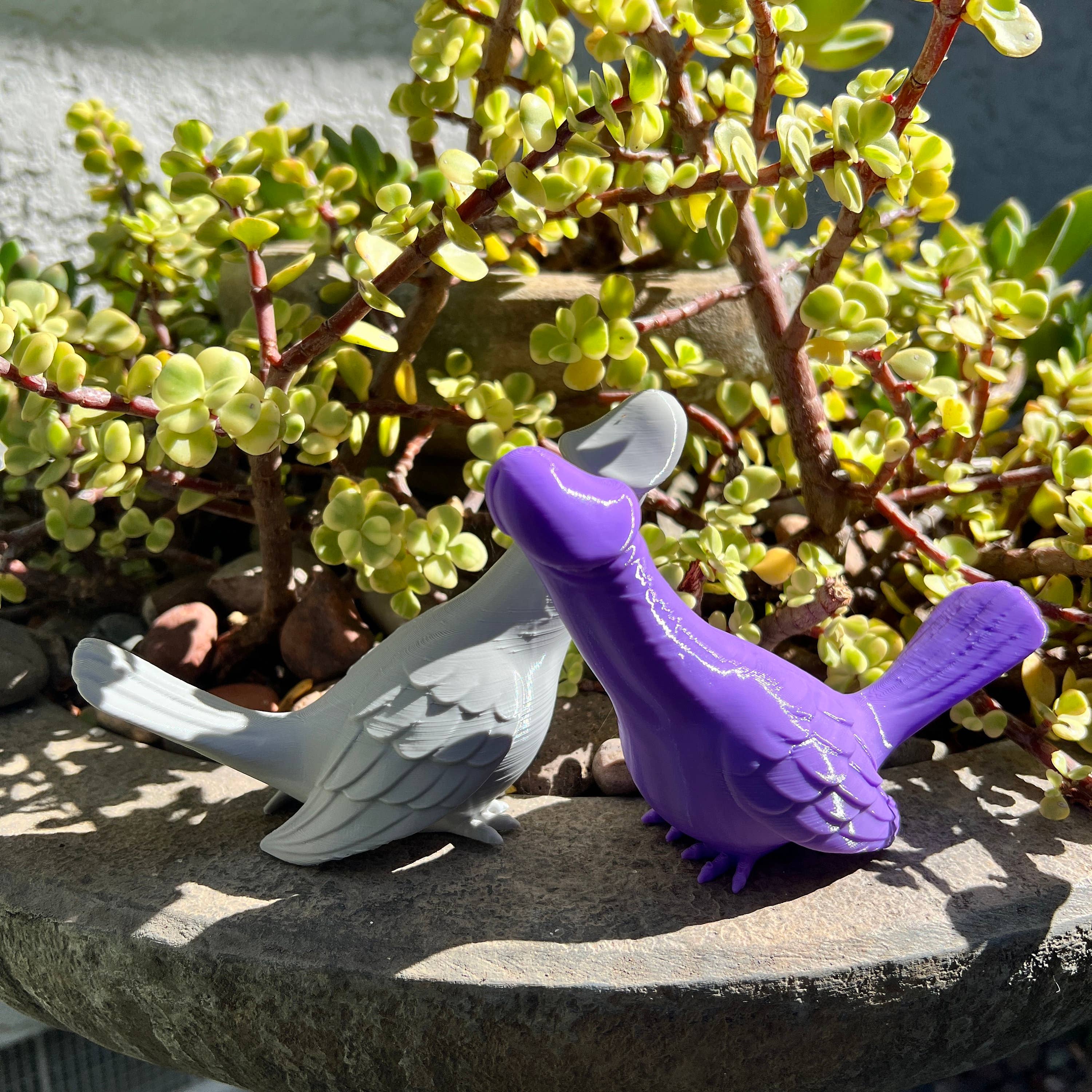 NumanPrints - Wholesale Gag Gift/Novelty Gift - Dick Bird Pigeon Dove Penis Cock Dino-Dick Dickasaurus6