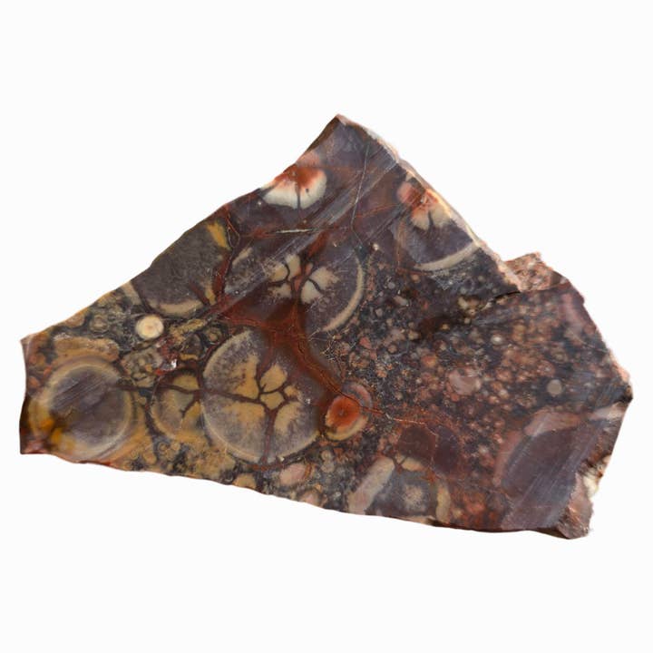 Lapidary Central - Wholesale Spiritual Stone/Crystal - Birdseye Rhyolite Slab - Dominant Purple with Orbicular Eyes3