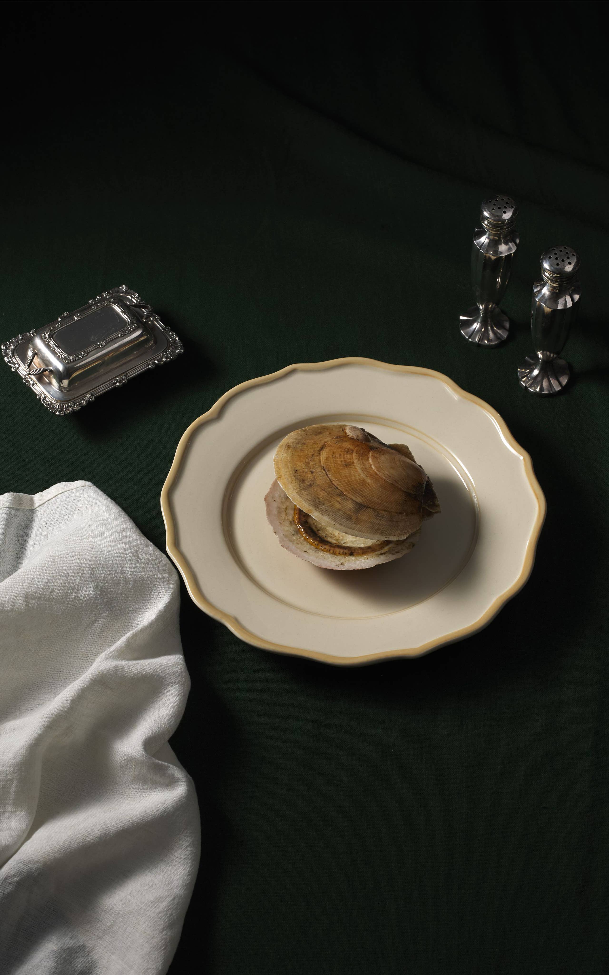 Maison Madison Home - Wholesale Dinner Plate - Colette Hand-Painted Dinner Plate 10.5''2