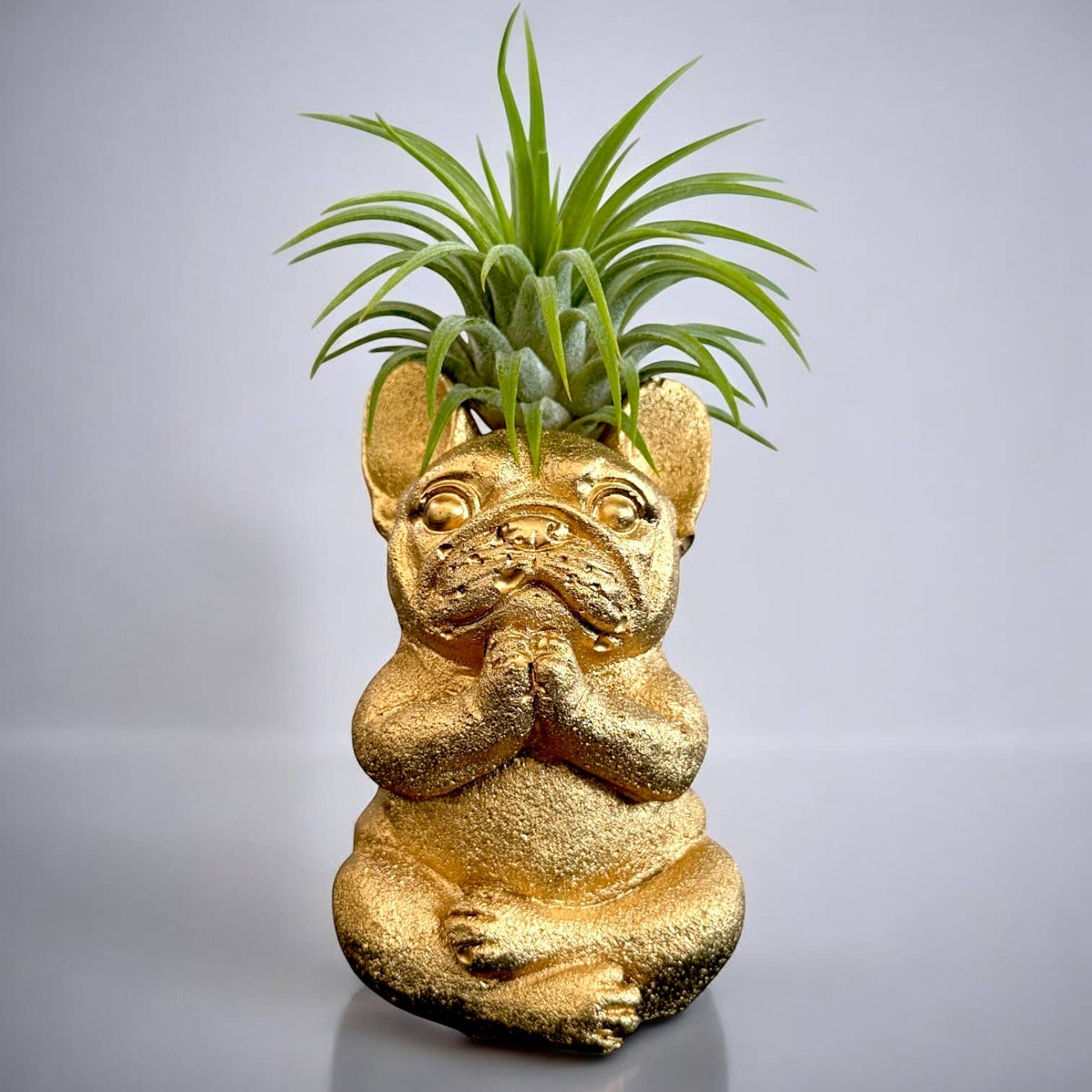 Planters Made in the USA - Wholesale Decorative figurine - Zen French Bulldog Air Plant Holder – Gold Praying Dog0