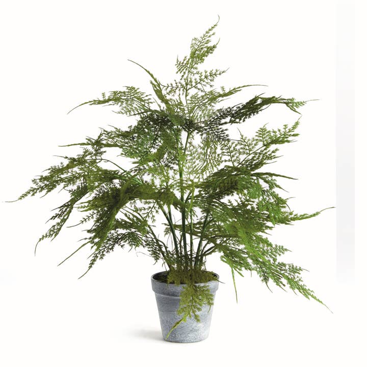 Green Plumosa Fern Drop-In 17" for wholesale on Faire