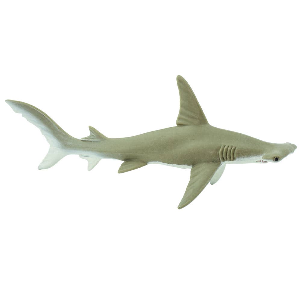 Safari Ltd. - Wholesale Figurine Toy - Kids - Hammerhead Shark - 2748293