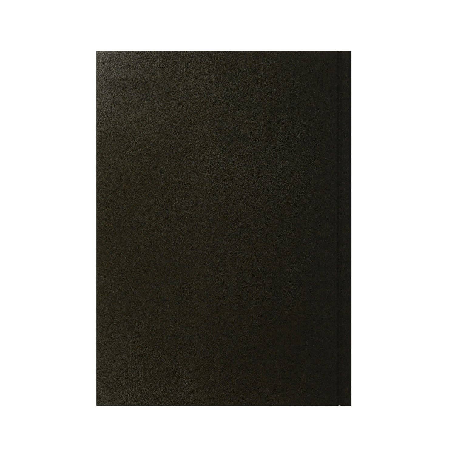 Collins Debden - Wholesale Planner - Essential - A4 Day-to-Page Diary - 2026 Calendar Year Planner5