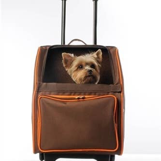 Petote Rio - Sac de transport Orange Zest pour chats/chiens pour la vente par Petote