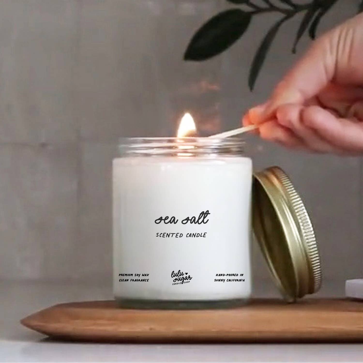 Lulu Sugar - Wholesale Jar/Filled Candle - Sea Salt Scented Candle - Boxed Candle1