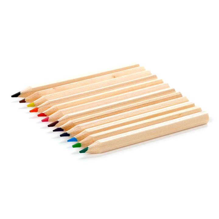 Puckator Ltd - Wholesale Pencil Case/Pouch - Adoramals Penguin Pencil Pot with 12 Colouring Pencils