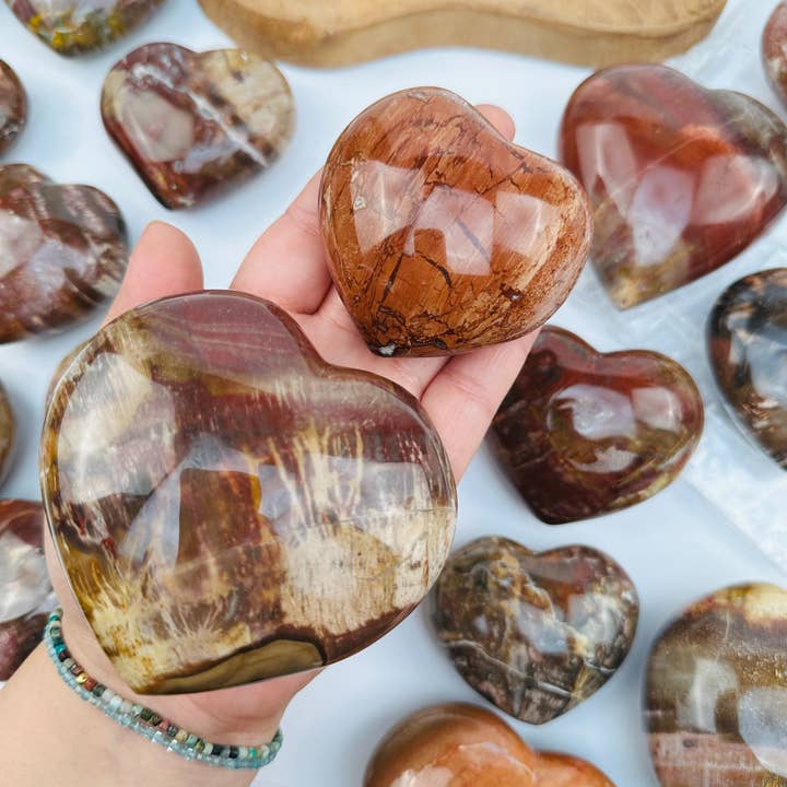 Coeur en bois pétrifié pour la vente par Rock Paradise