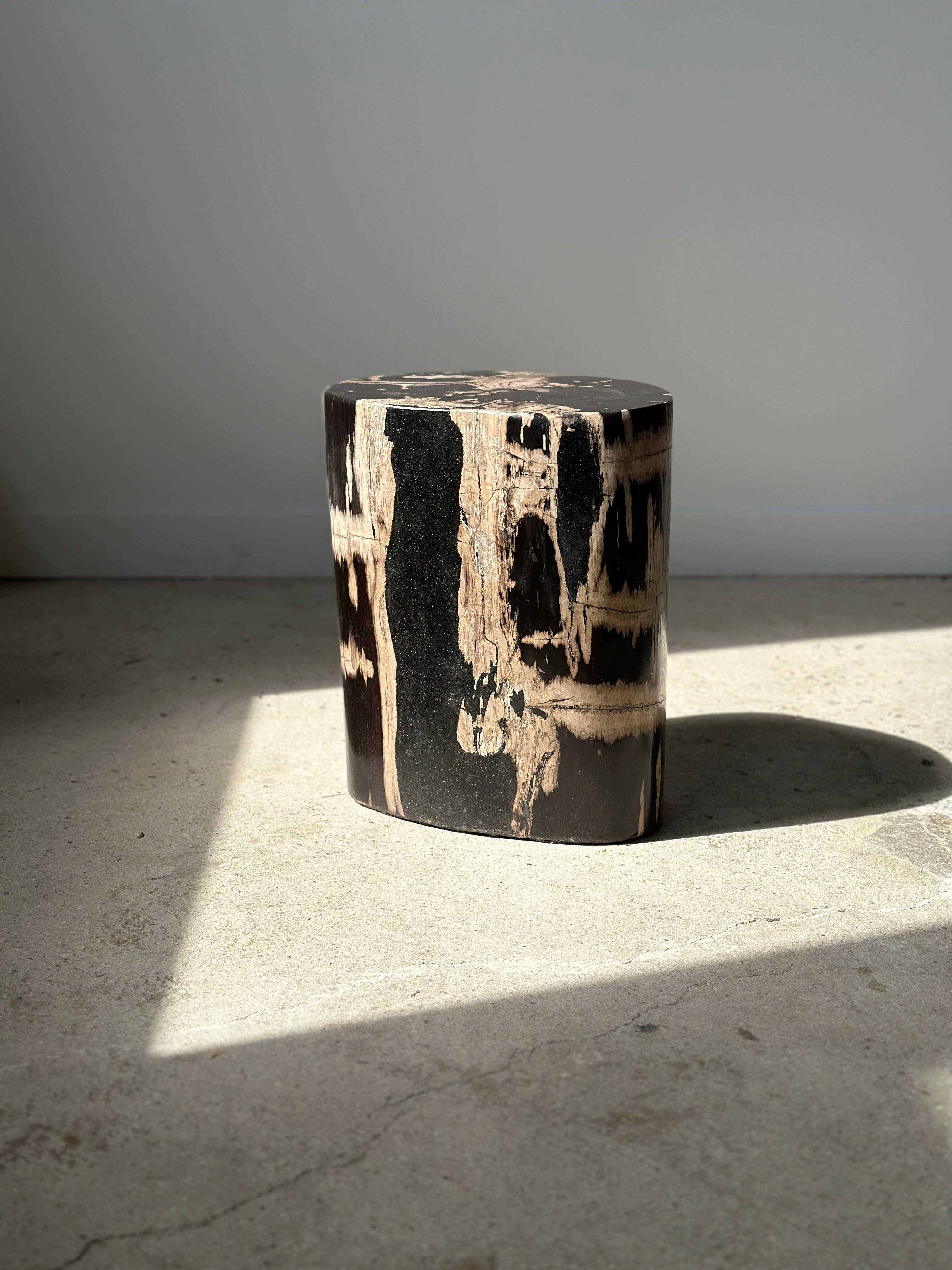 Office Objets - Vente Tables d'appoint - Table d'appoint en bois pétrifié10