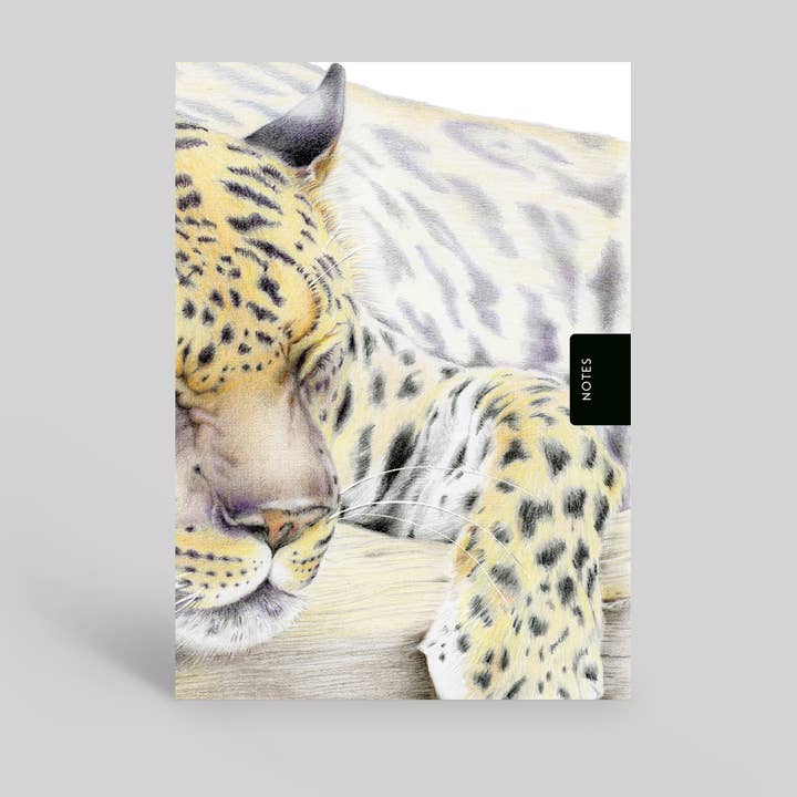 NOTEBOOK A6: Cat, Leopard, Pencil Art, Art, Big Cat, Africa, for wholesale by Deckled Edge Ltd