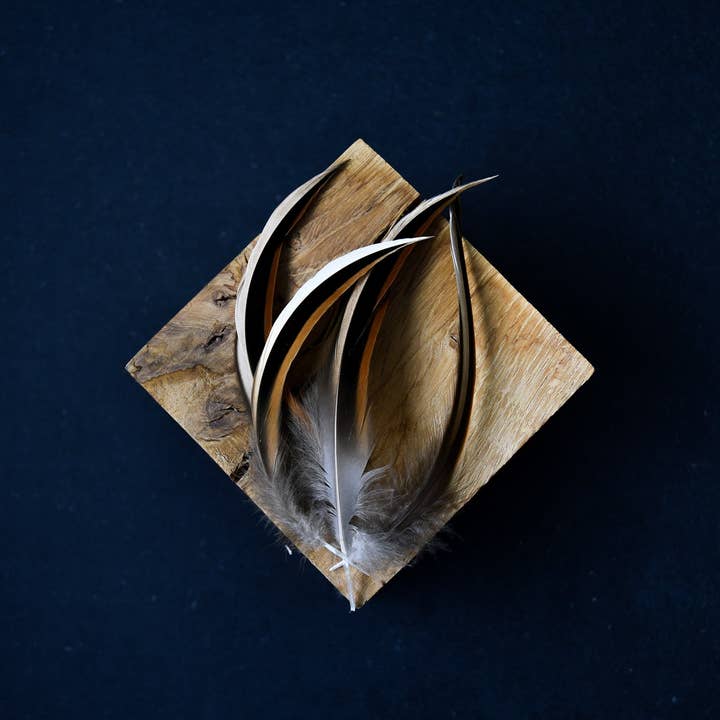 Duck feathers for wholesale by Plumes Naturelles