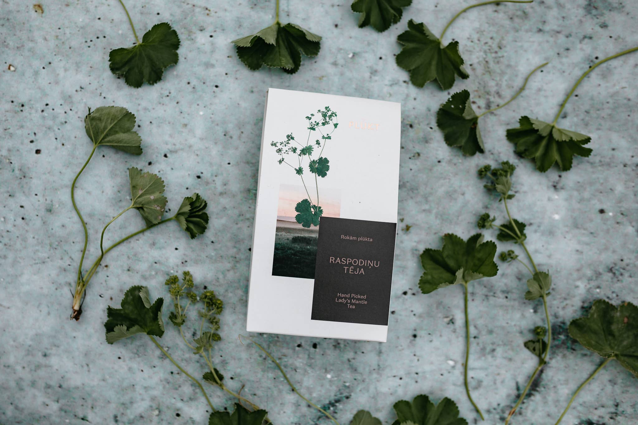 Plūkt - Wholesale Gezondheid/Detox thee - Geraniumthee - Biologische kruiden thee voor vrouwen4