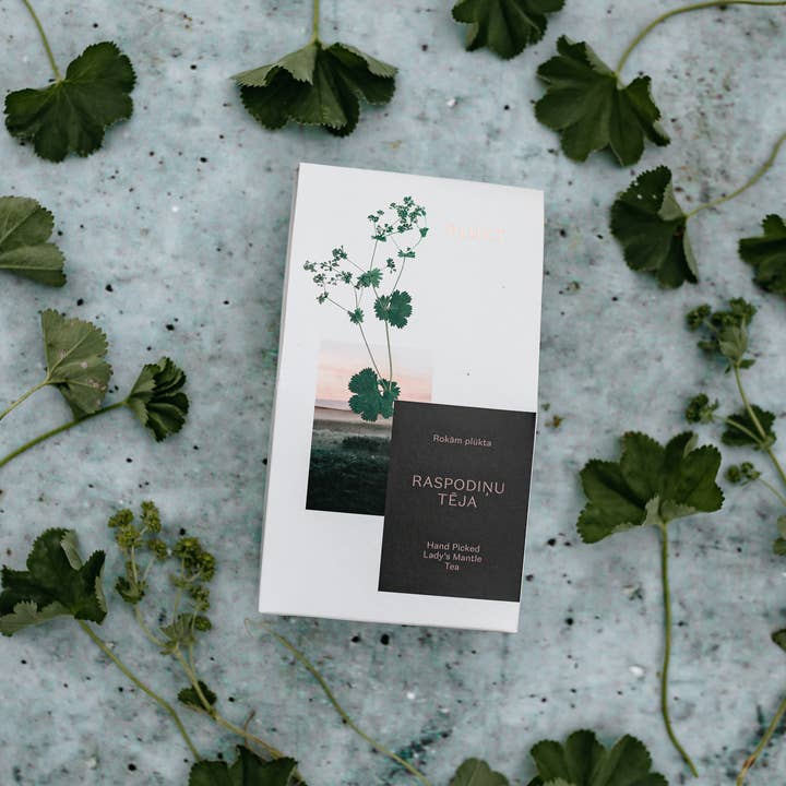 Plūkt – wholesale Health/detox tea – Lady's Mantle Tea - certified organic, herbal tea for women4