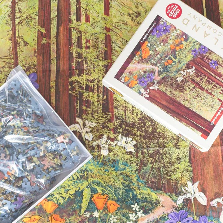 Oakland Puzzle Company - Wholesale Puzzle - Adult - Golden Beams in Redwoods 1000-piece Jigsaw Puzzle3