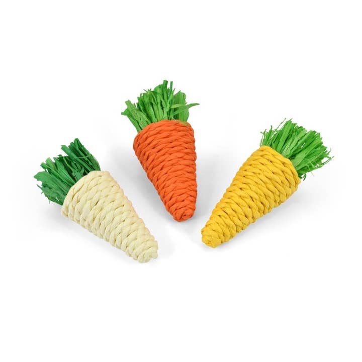 Nayeco – wholesale Pet toy – Cat/dog – Carrot Rodent Toys