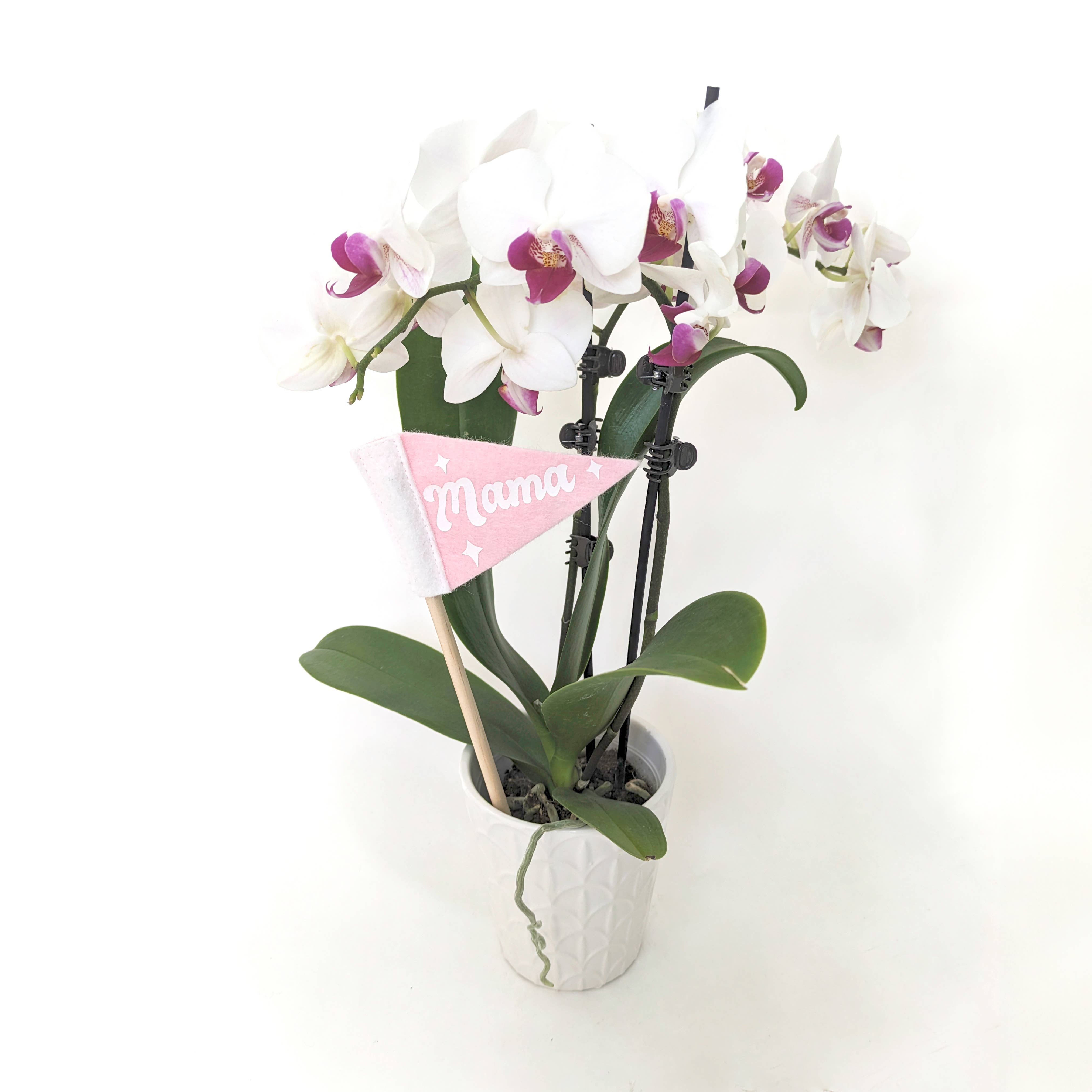 Pennant For Your Thoughts - Wholesale Flag - Mother's Day Tiny Flag Pennant | Wool Blend, Handmade in USA3