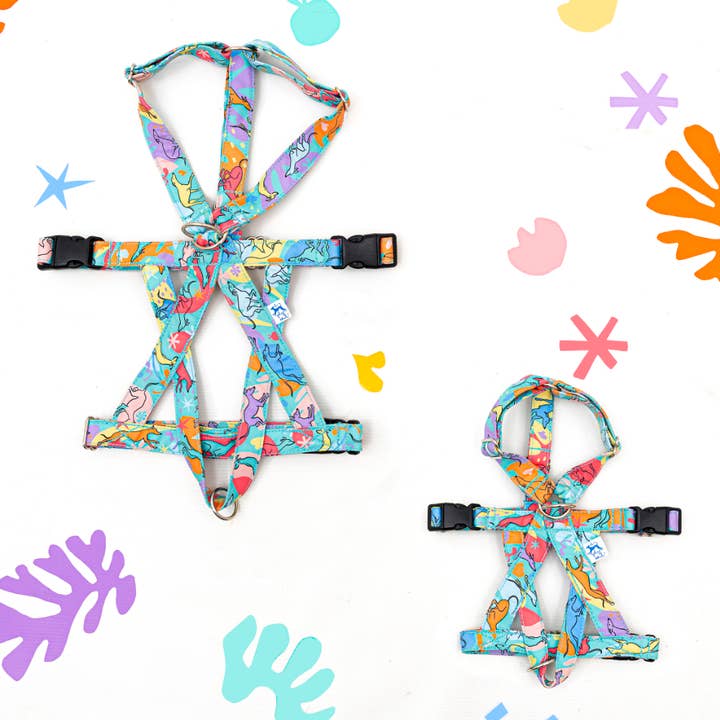 Peitoral anti-fuga Sweet Matisse XY por atacado de El galgo azul