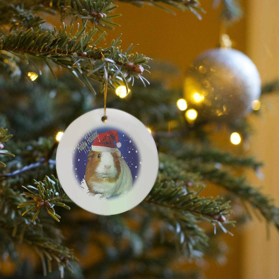 3dRose - Vendita all'ingrosso Decorazione - 3dRose, Porcellino d'India di Natale, Ornamento6