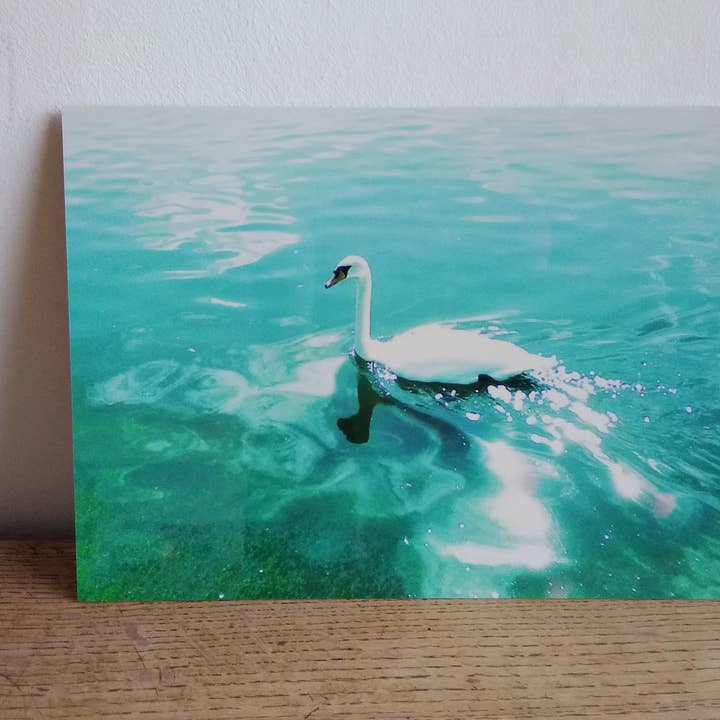 Light and Grace Metal Print for wholesale by Rebecca Harman