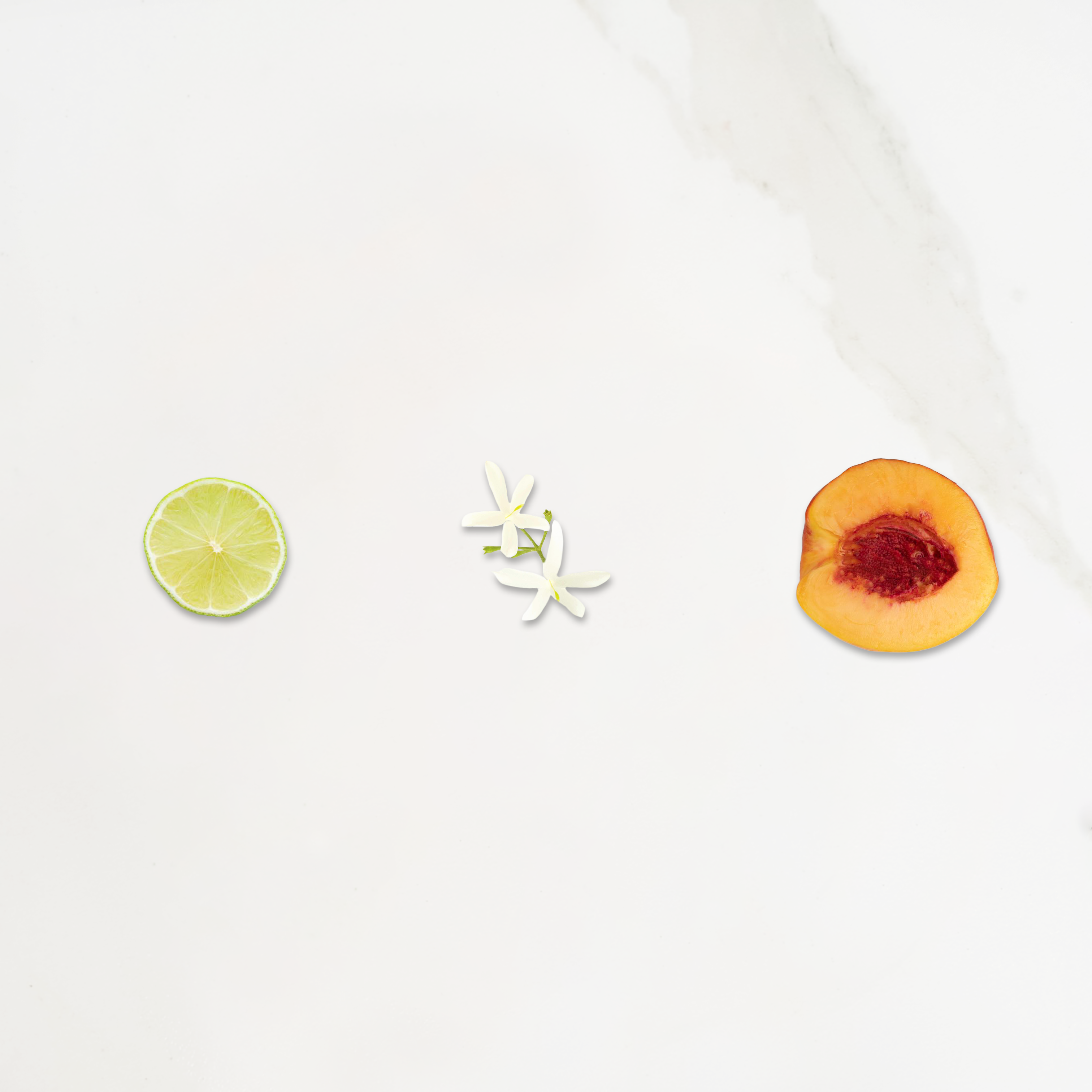 Ditta Artigianale - Wholesale Coffee Beans - Ethiopia Bombe Shantawene - Caffè Singola Origine1