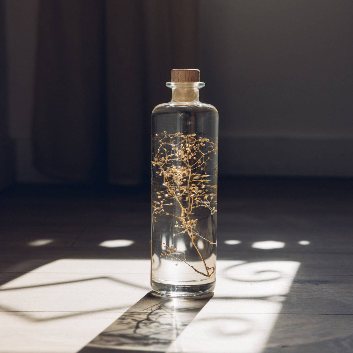 Theophile Berthon - Vente Plante - L'Herbarium Gypsophile Or - plante immergée11