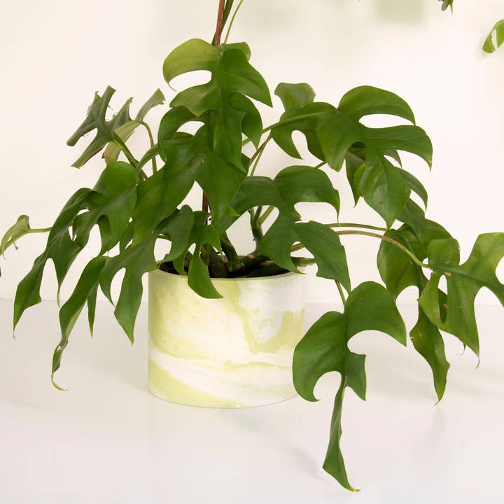 Grøn & Hvid Marmoreret Jesmonite Rund Plant Pot/Planter for engroshandel hos Lunar Living