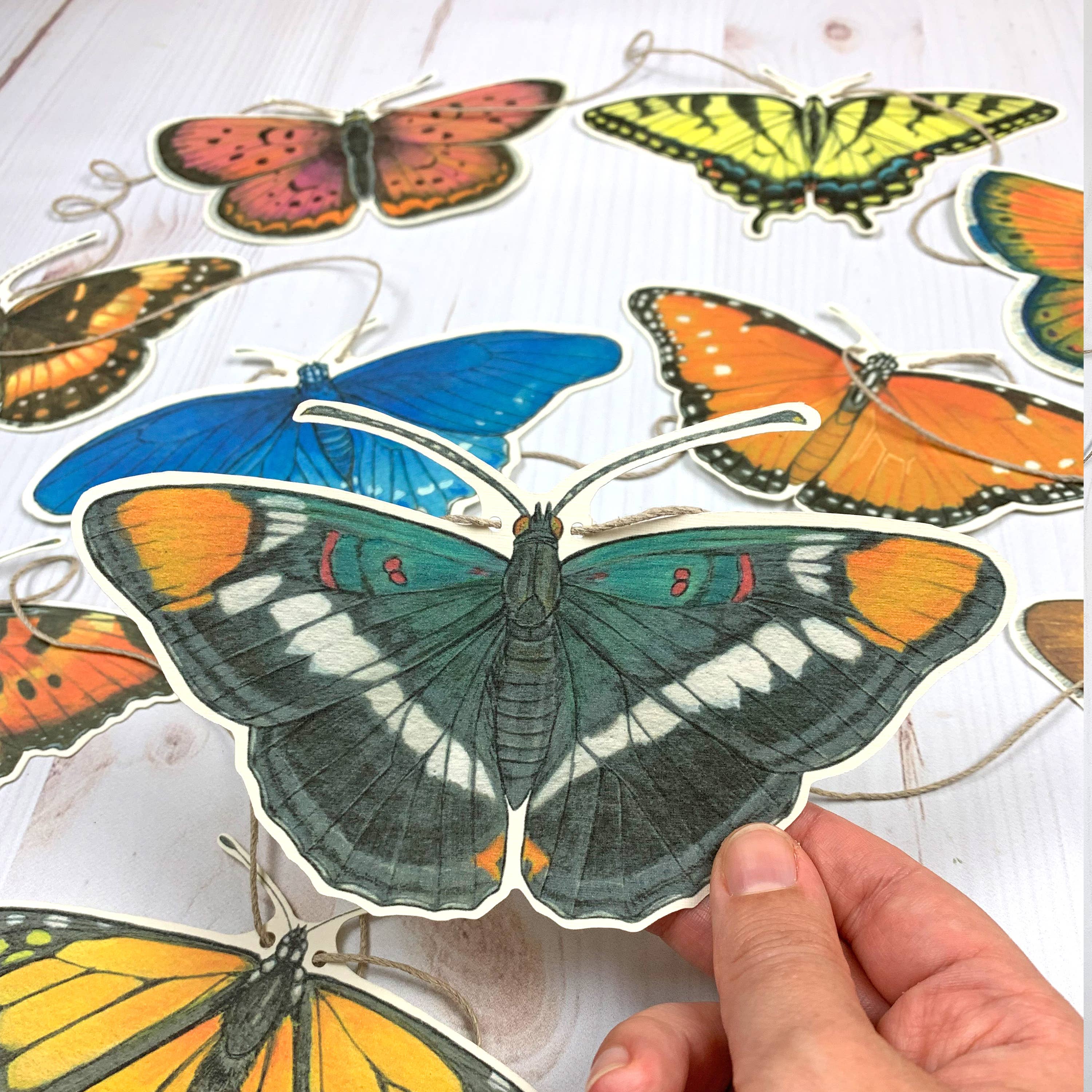 Sarah Draws Things - Wholesale Bunting/Garland - Western U.S. Native Butterfly Illustrated Garland3