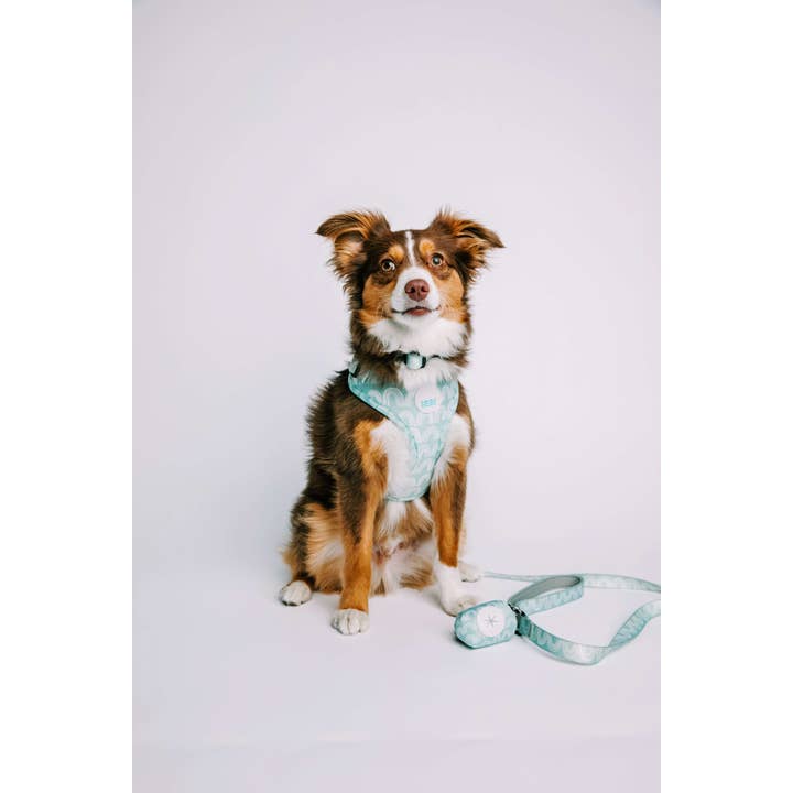 West Coast Wag Co – Arnês – Cão por atacado – Arnês para cães Indio2